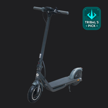 Denver 10" Electric Scooter 450W